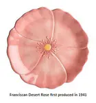 Franciscan Pottery -  The quick connoisseurs guide.  Who, when, what, why?