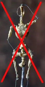 How professional master clay sculpture techniques translate to factory production - Peter Holland lays it all out simply