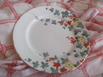 The design on the plate. I'm surprised I haven't found another.