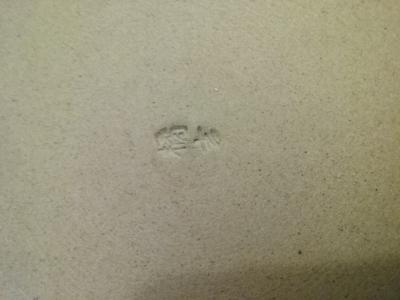 Close up of impressed mark on green Celedon plate