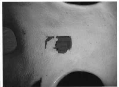 Handpainted jardinière with black HUNGARY pottery mark