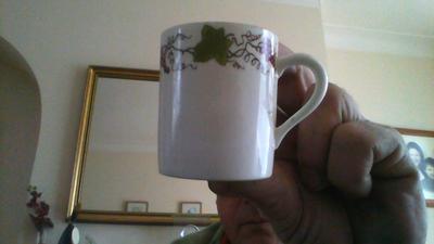 H&Co L - a mark of Haviland & CIE or not?