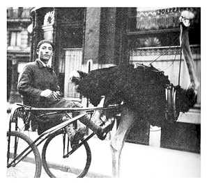 antique china values 101