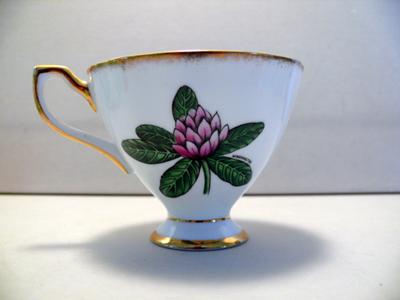 Pottery Mark Query JW WEBSTER