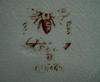 This is the backstamp - Bee with extended wings 