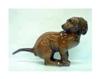 Rosenthal Dinnerware Query: Rosenthal Squatting Dachshund by Karl Himmelstoss
